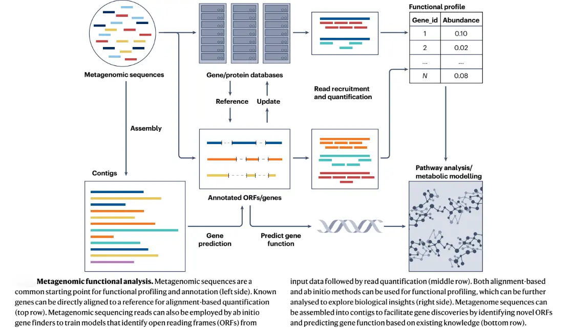metagenomic analysis