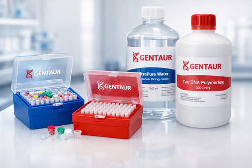 [sk_2709] ECL-Plus Chemiluminescent Substrate kit