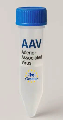 [MA-4041] MVD AAV Vector (Mouse) (CMV)