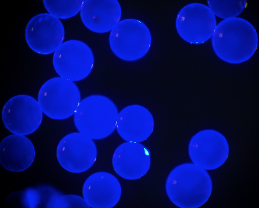 [AFB-1500-Biotin] Blue PS Fluorescent Particles, 15 um-Biotin