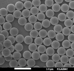 [APLAM-3000] PLA Magnetic Particles, 30 um