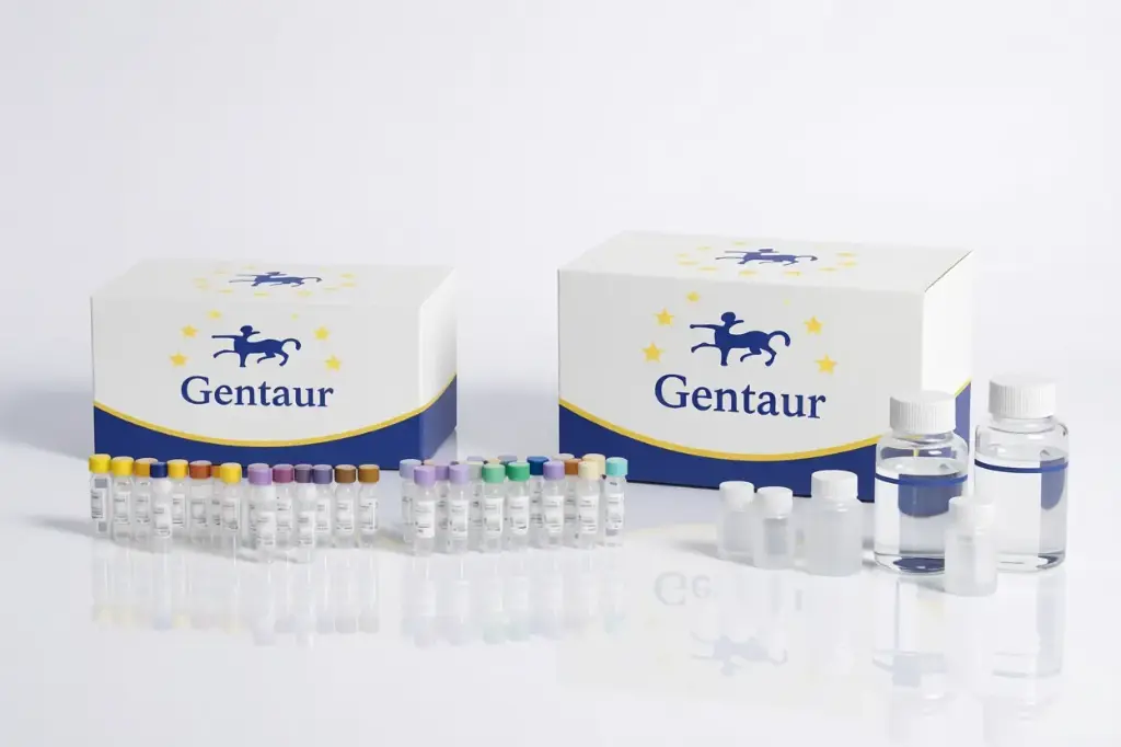 [5D-15172S-sf] Anti-human Vimentin, Sheep, Affinity Purified HRP Conjugated IgG